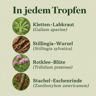 Leichtkraut Kräutertropfen · 60 ml
